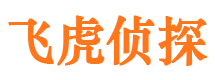 鱼峰外遇调查取证